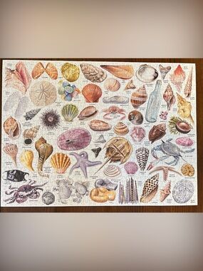 Galison The Beachcomber’s Companion 1000 pc puzzle